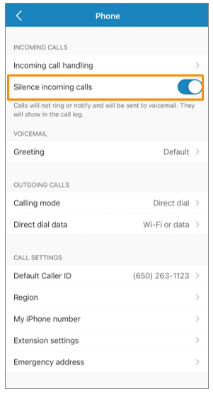 How To Fix Incoming Call Not Showing Up on iPhone Screen? – DigitBin